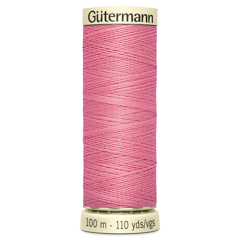 Allesnäher: 100 m: Farbe – 889