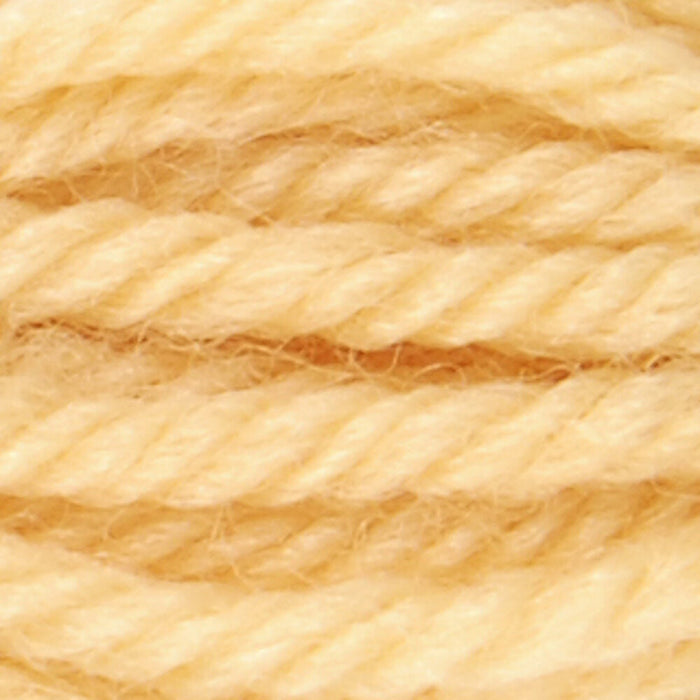 DMC Gobelinwolle Farbe 702 