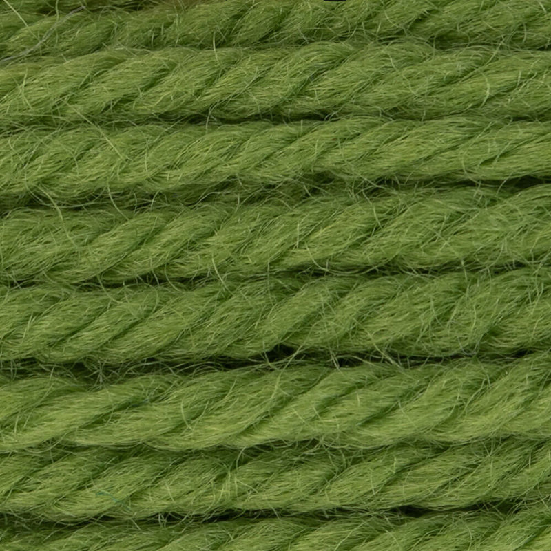 DMC Tapestry Wool Color 7769