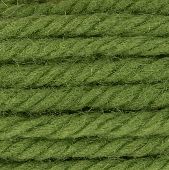 DMC Gobelinwolle Farbe 7769 