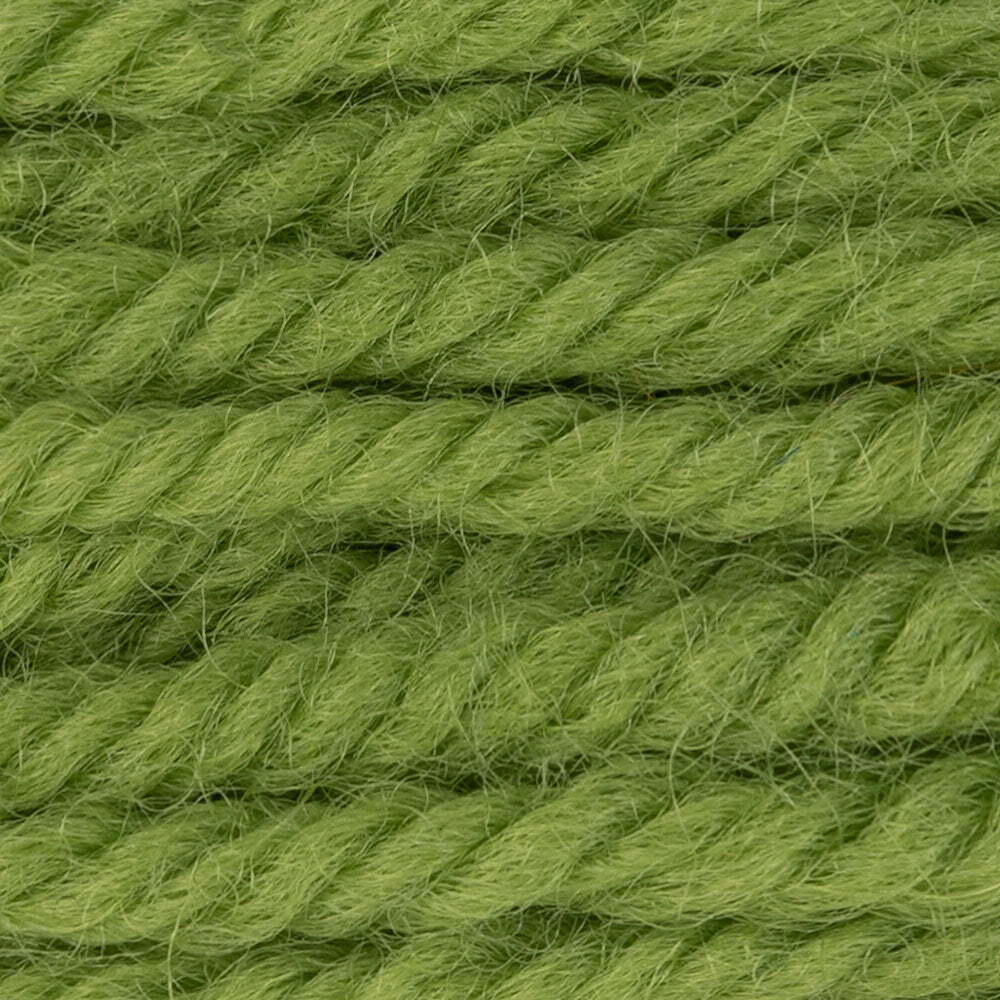 DMC Tapestry Wool Color 7770 — HobbyJobby