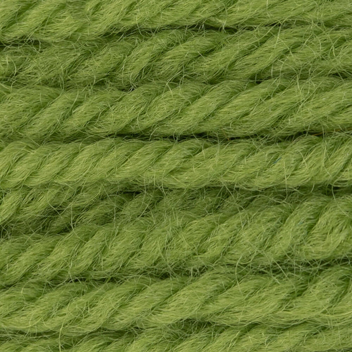 DMC Gobelinwolle Farbe 7770 