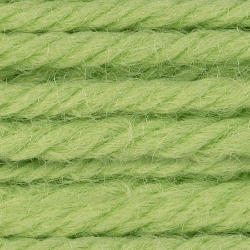 DMC Gobelinwolle Farbe 7771 