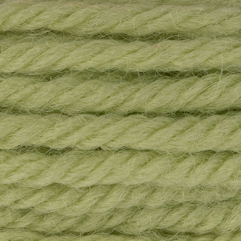 DMC Tapestry Wool Color 7772