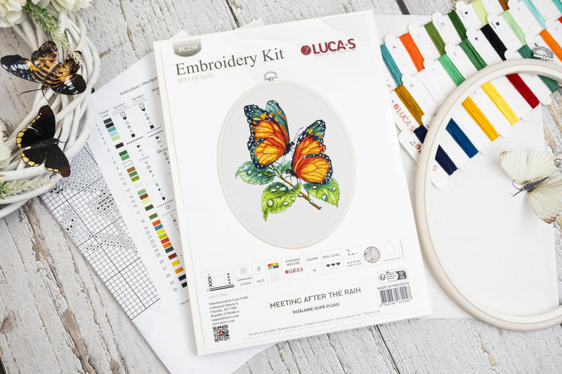 Cross Stitch Kit with Hoop Included Luca-S - Meeting After the Rain, BC239