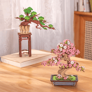 Sakura Bonsai