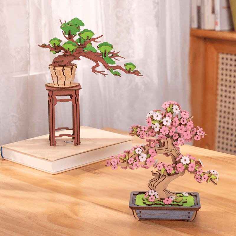 Sakura Bonsai