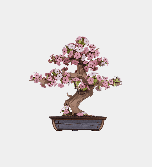 Sakura Bonsai