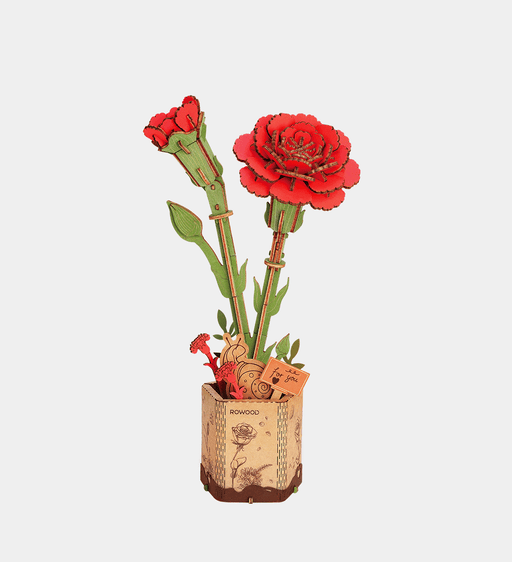 Red Carnation