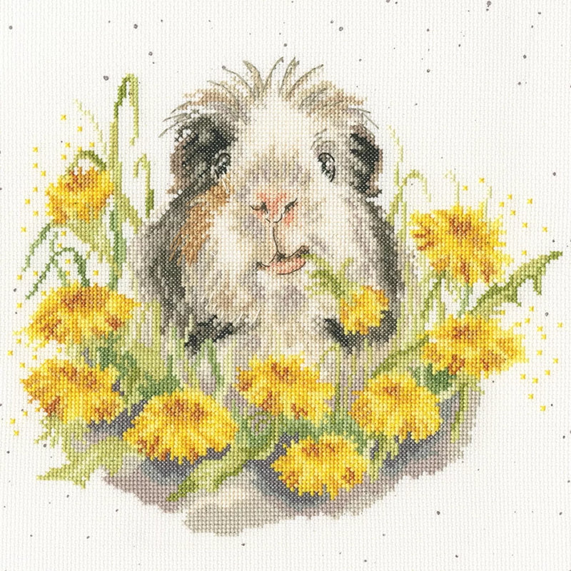 Cross Stitch Kit Bothy Threads - Dandy Day