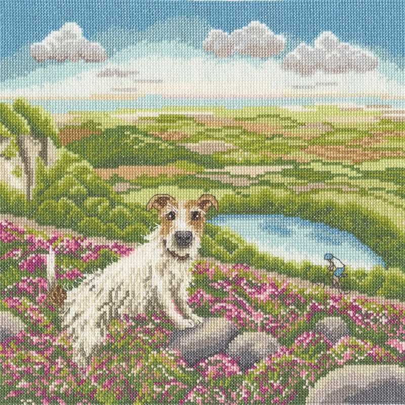 Cross Stitch Kit Bothy Threads - One Vet And His Dog