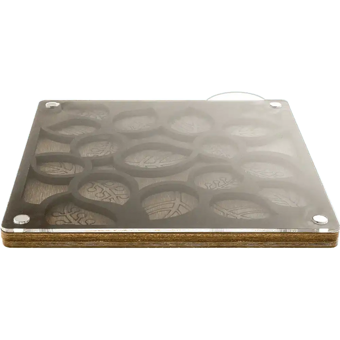 Bead Organizer - Bead Storage Box with Transparent Cover Wonderland Crafts Bead Organizers - HobbyJobby