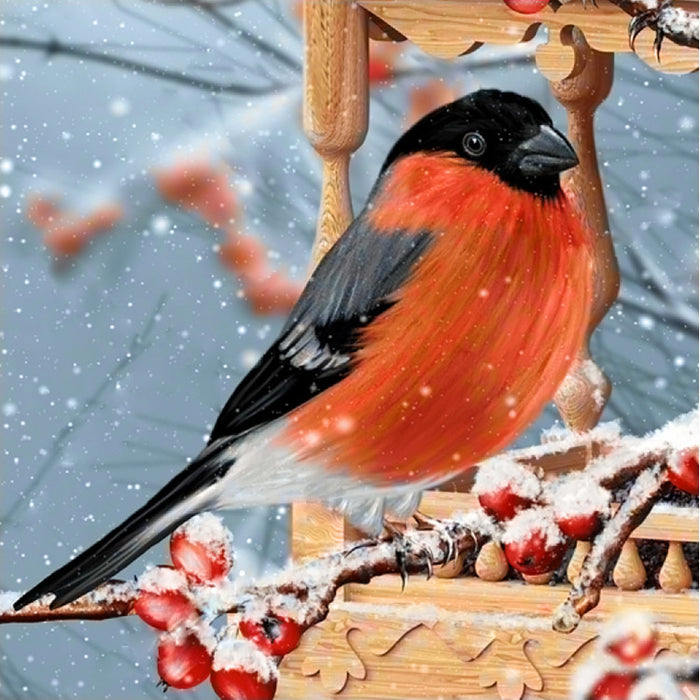 Diamond Painting Kit - BULLFINCH 20*20 WD3044