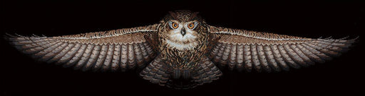 Cross Stitch Kit Andriana - Owl, C-46 Andriana Cross Stitch Kits - HobbyJobby