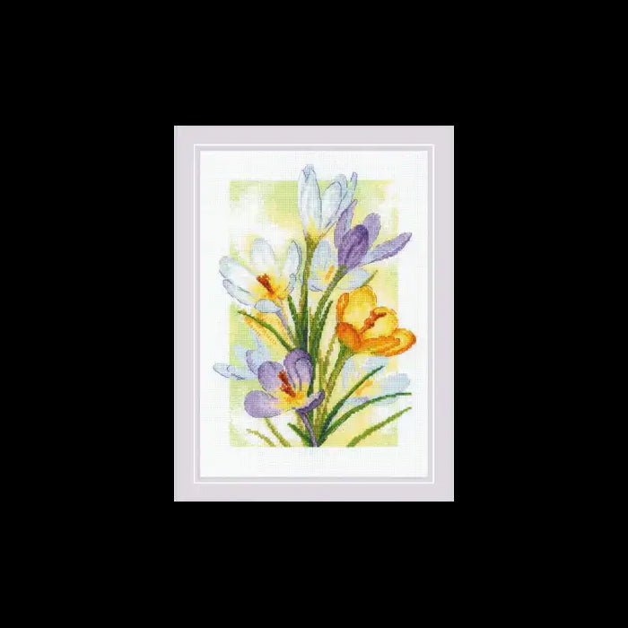Kreuzstich-Set Riolis – „Frühlingsglanz. Krokusse“ 21 x 30 SR2190