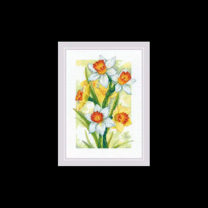 Cross Stitch Kit Riolis - "SPRING GLOW. DAFFODILS" 21X30 SR2189