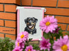 Cross Stitch Kit with Hoop Included Luca-S - Rottweiler, BC229 Luca-S Cross Stitch Kits - HobbyJobby