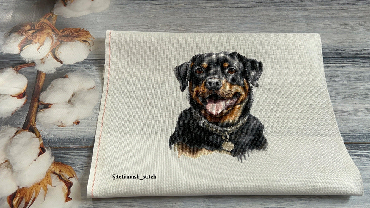 Cross Stitch Kit with Hoop Included Luca-S - Rottweiler, BC229 Luca-S Cross Stitch Kits - HobbyJobby