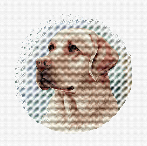 Cross Stitch Kit with Hoop Included Luca-S - The Labrador, BC211 Cross Stitch Kits - HobbyJobby