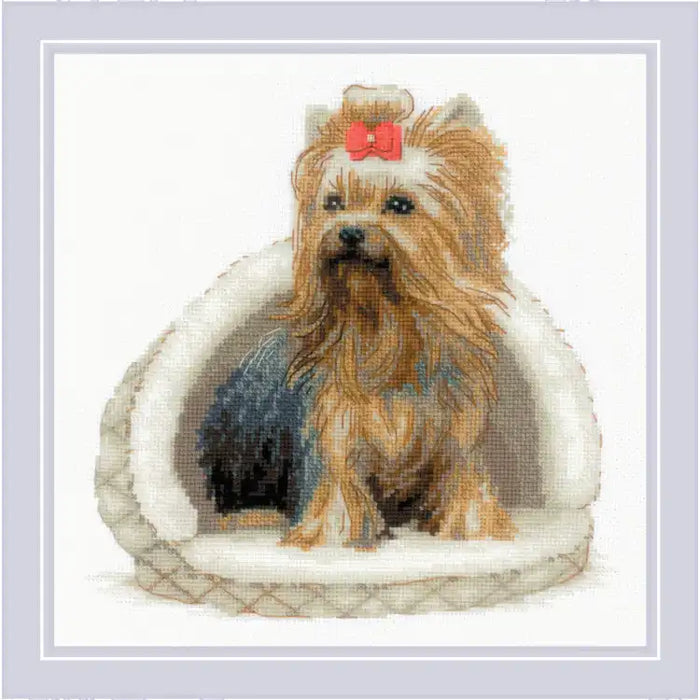 Kreuzstichset Riolis - YORKSHIRE TERRIER 25X25 SR2152
