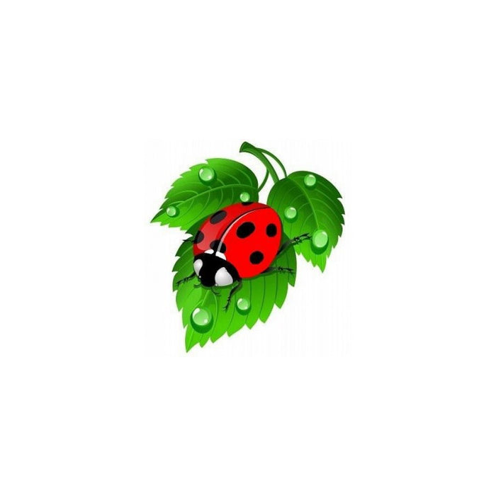 Diamond Painting Kit - LADYBUG 20X20 CM AZ-1115