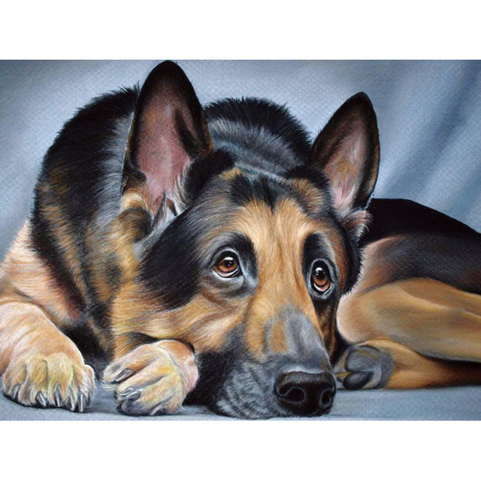 Diamond Painting Kit - SHEEPDOG 40_30 CM AZ-1418