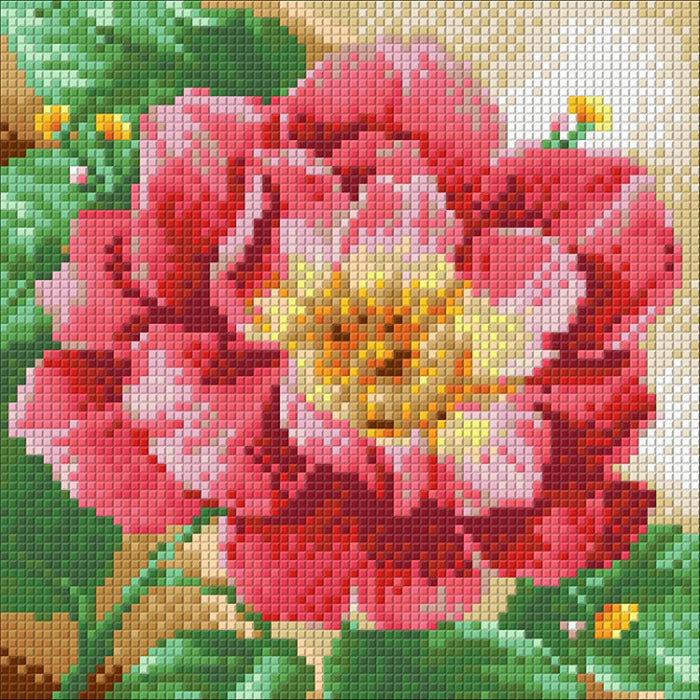 Diamond Painting Kit - BLOOMING PEONIES 20_20 CM AZ-1444