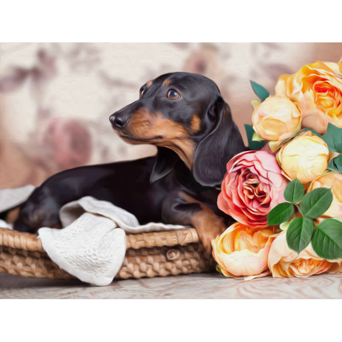 Diamond Painting Kit - DACHSHUND 40_30 CM AZ-1457