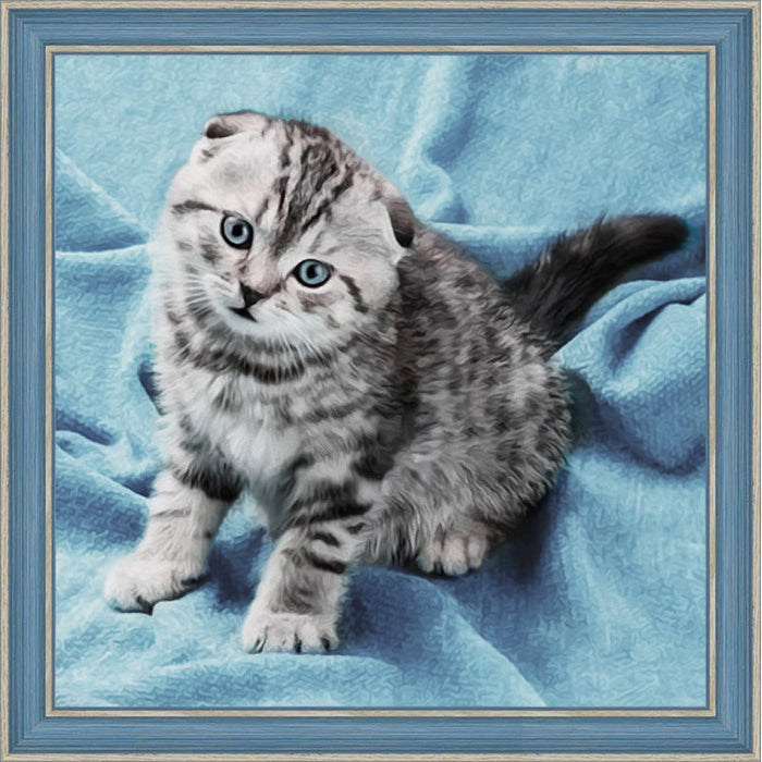 Diamond Painting Kit - KITTEN 40_40 CM AZ-1465