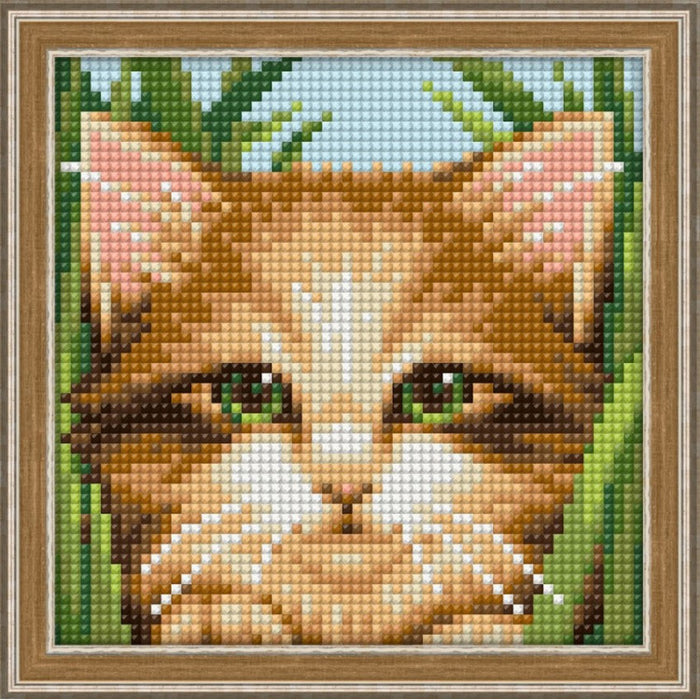 Diamond Painting Kit - GREEN-EYE CAT 15_15 CM AM1640