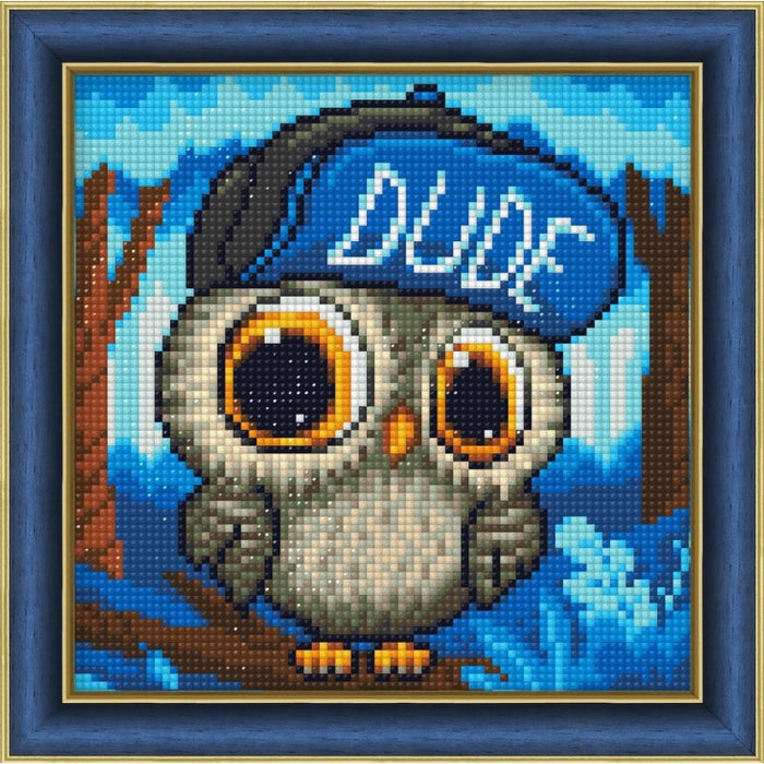 Diamond Painting Kit - "OWL IN A CAP" 20*20 CM AM1950