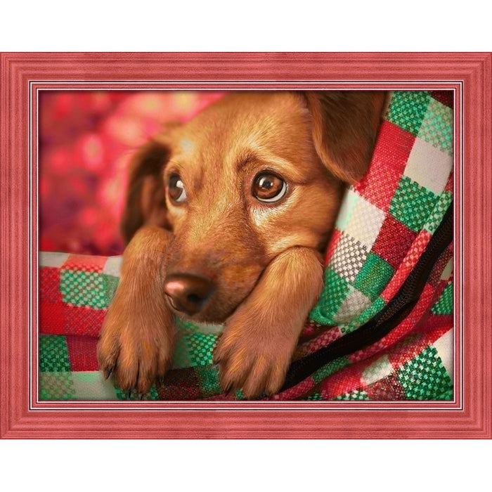 Diamond Painting Kit - DACHSHUND PUPPY 40X30 CM AZ-1703