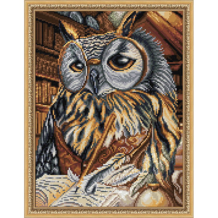 Diamond Painting Kit - SMART OWL 30X40 CM AZ-1737