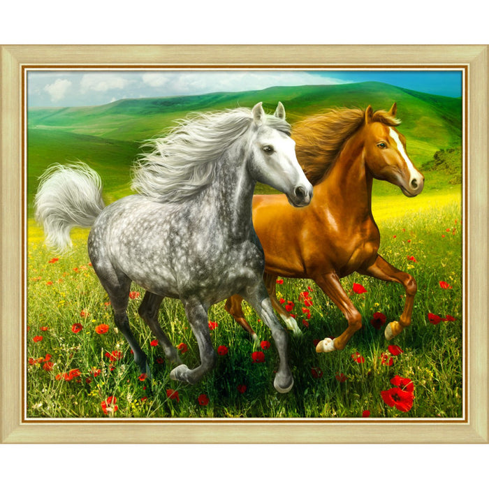 Diamond Painting Kit - HORSES ON THE MEADOW 50X40 CM AZ-1766