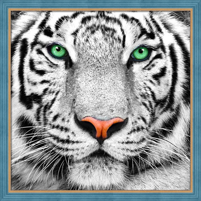 Diamond Painting Kit - WHITE TIGER PORTRAIT 25X25 CM AZ-1788