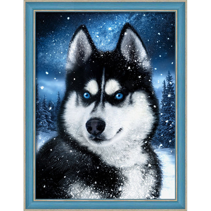 Diamond Painting Kit - SNOW HUSKY 30X40 CM AZ-1804