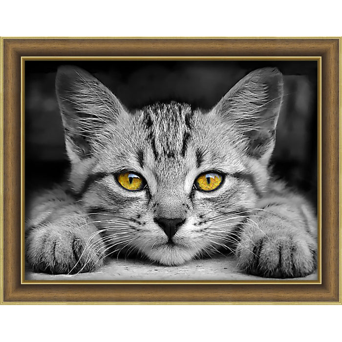 Diamond Painting Kit - YELLOW-EYED KITTEN 40X30 CM AZ-1807