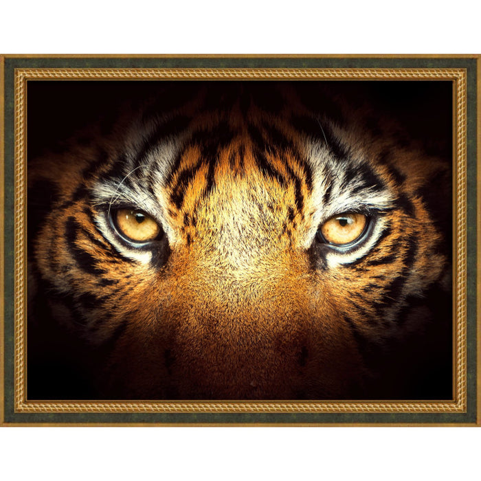 Diamond Painting Kit - TIGER LOOK 40X30 CM AZ-1827