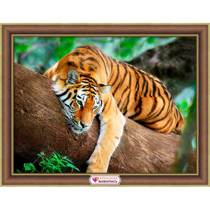Diamond Painting Kit - TIGER ON THE TREE 40*30 CM AZ-4122