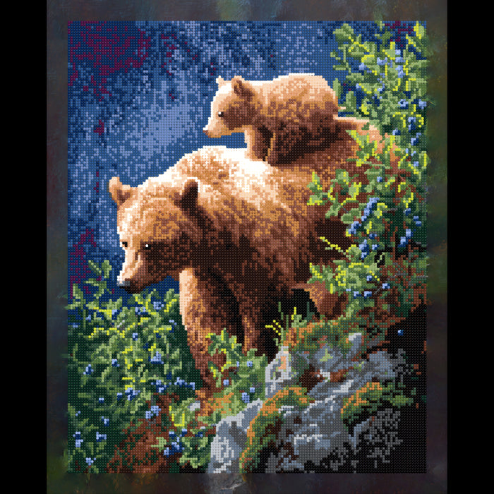 DIAMOND PAINTING WITH SUBFRAME "BEARS" 40X50 CM DP442