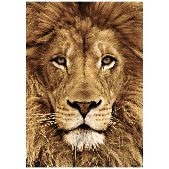 Diamond Painting Kit - LION 20*30 CM WD068