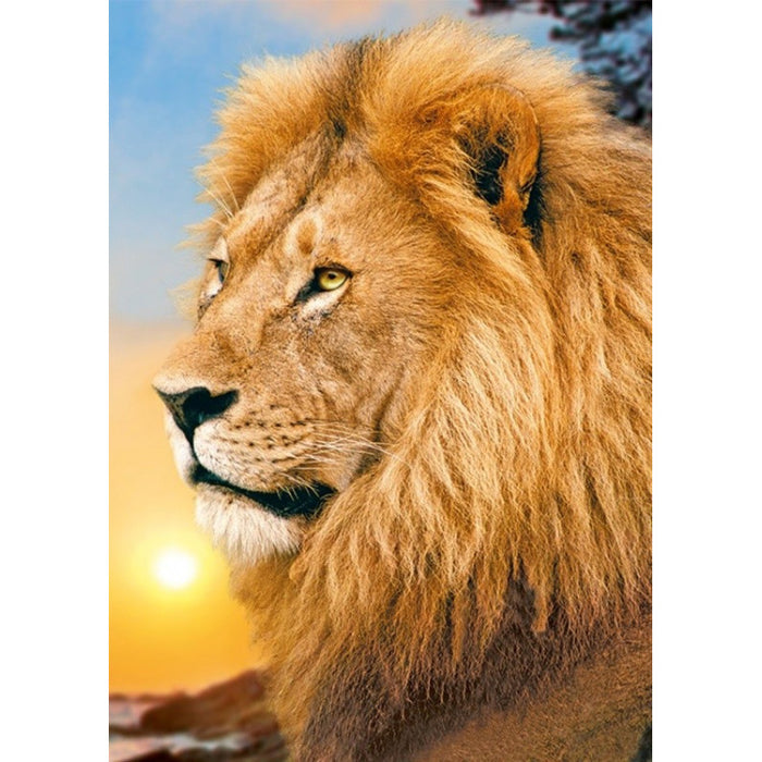 Diamond Painting Kit - LION KING 27*38 CM WD070