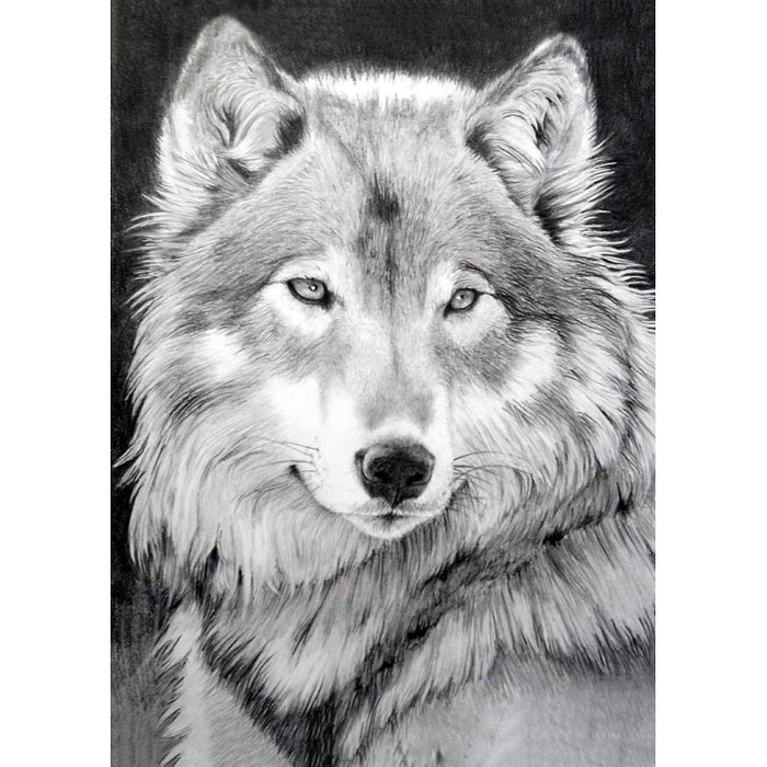 Diamond Painting Kit - GREY WOLF 27*38 CM WD086