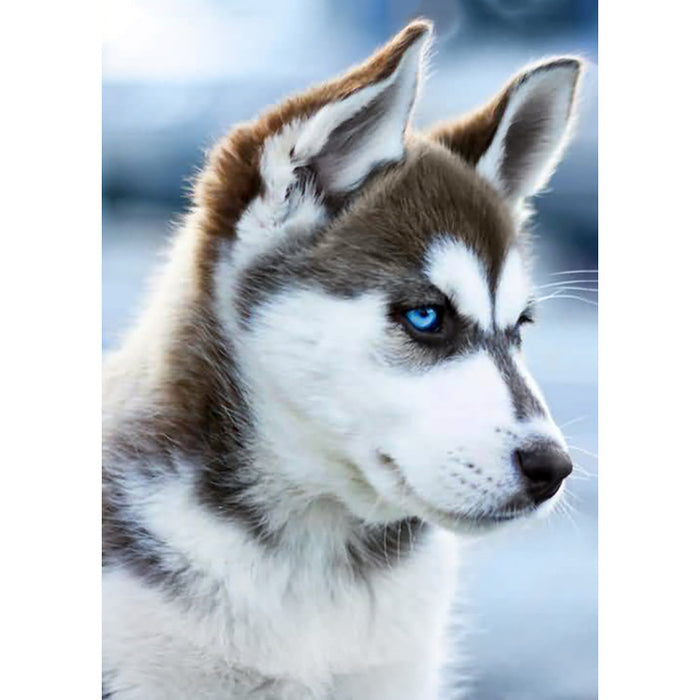 Diamond Painting Kit - SNOW DOG 27*38 CM WD088