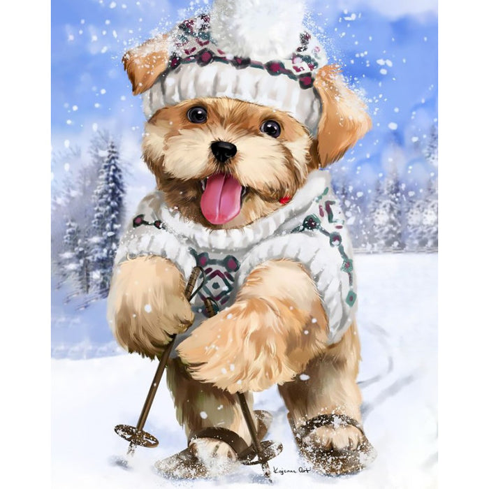 Diamond Painting Kit - SKIER 38*48 CM WD2447