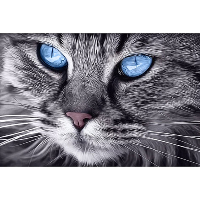 Diamond Painting Kit - BLUE-EYED CAT 30*20 CM WD2517