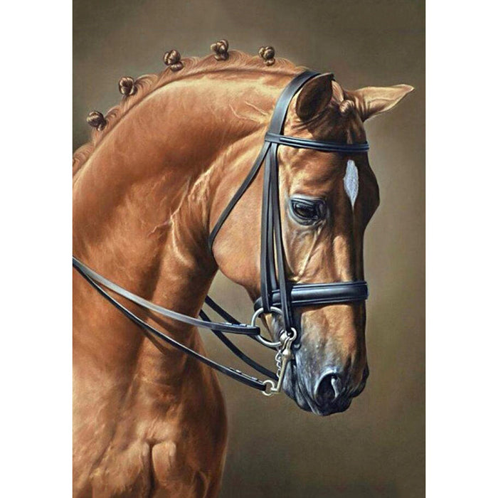 Diamond Painting Kit - HORSE JUMPING 27 _ 38 CM WD256