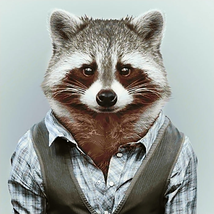Diamond Painting Kit - MR RACCOON 38 _ 38 CM WD257