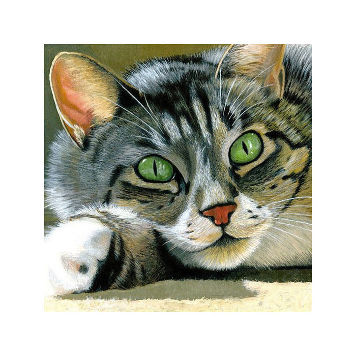 Diamond Painting Kit - INTRIGUE 20*20 CM WD274