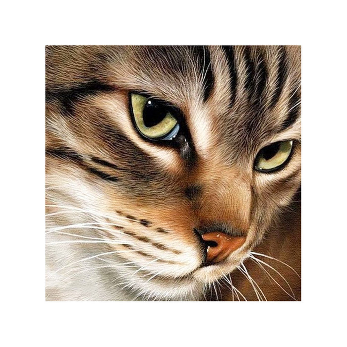Diamond Painting Kit - MYSTERIOUS CAT 20*20 CM WD282